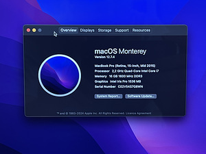 Apple Macbook Pro Retina 256GB/16GB (15-inch, mid-2015) (3 foto / 3)