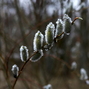 Canon EOS 750 - ideaalne hobi fotograafile või algajale (8 foto / 10)