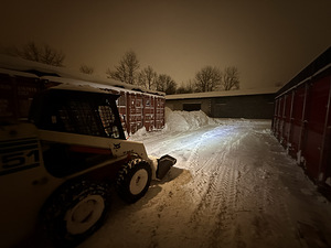 Lumekoristus. Bobcat (9 foto / 9)