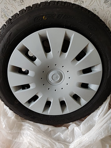 Škoda Rapid (8 фото из 12)