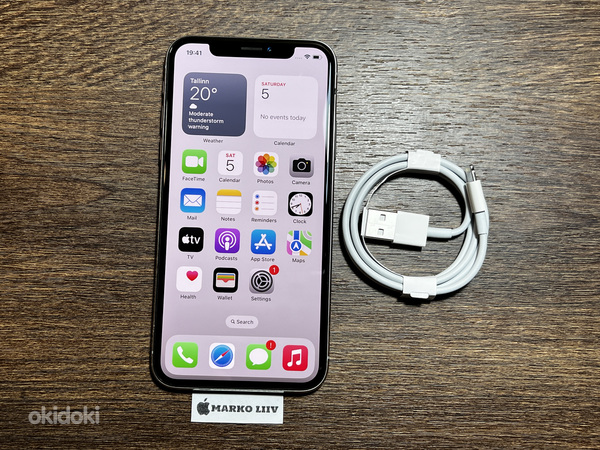 Apple iPhone X 64gb, серебристый (фото #1)