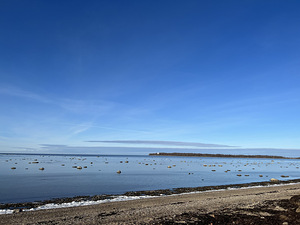 osalise tööajaga tööd (otsin) (1 foto / 1)