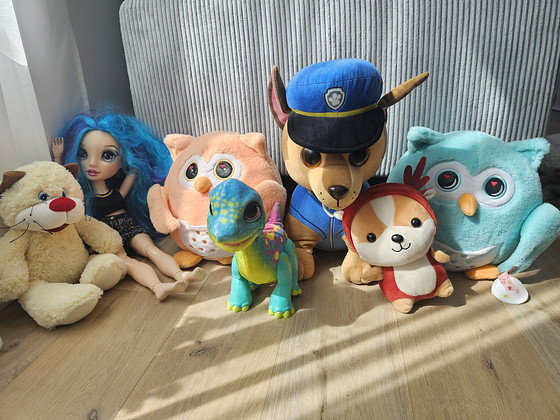 Игрушки ищут новый дом
