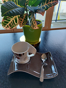 Villeroy & Boch New Wave kohvitasside kompl, 2tk (1 foto / 6)