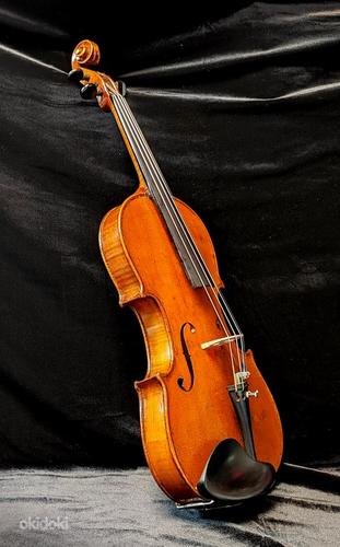 Скрипка Carl Willert Güstrow (фото #3)