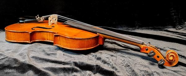 Скрипка Carl Willert Güstrow (фото #6)
