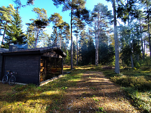 Merineitsi tee 8, Tahkuna, Hiiumaa vald, Hiiumaa (15 foto / 50)
