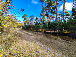 Merineitsi tee 8, Tahkuna, Hiiumaa vald, Hiiumaa (50 foto / 50)