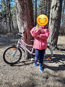 Jalgratas Kross Lea Mini 1,0, 20", 11" raam, hõbedane (2 foto / 2)