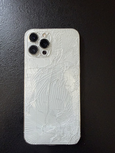 iPhone 12 Pro max (2 фото из 2)