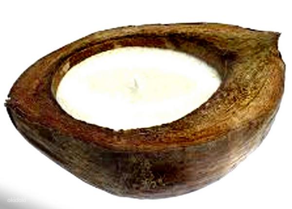 Большая экзотическая свеча в кокосовом орехе, новая (фото #2)