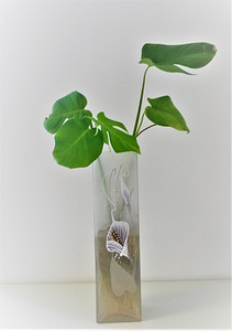 Monstera deliciosa toalilli ilusad istikud, 45-60 cm (7 foto / 10)