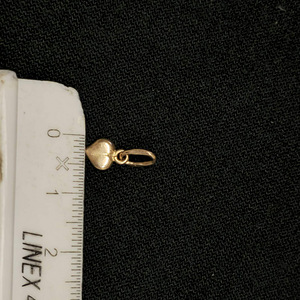 Kuld ripats 585 proov (№L1493) (1 foto / 5)