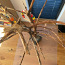 Птичье дерево с напольным покрытием + игрушки для птиц (фото #5)