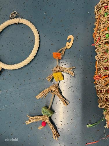 Птичье дерево с напольным покрытием + игрушки для птиц (фото #6)