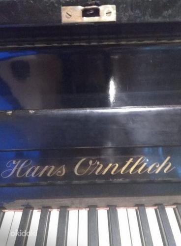 Pianiino Hans Orntlich (foto #2)