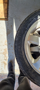 195/50/R16 / 4x108 / veljed + rehv / cougar (3 foto / 6)