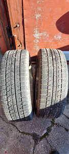 195/50/R16 / 4x108 / veljed + rehv / cougar (6 foto / 6)