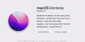 MacBook Pro Retina 13" Early 2015 (8 foto / 8)
