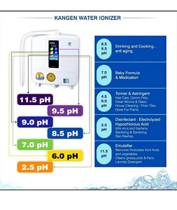 Enagic Leveluk K8 veefilter-ionisaator (2 foto / 2)