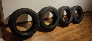 225/55R17 Hankook Winter i*Pike RS2 naastrehvid (9 foto / 9)