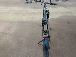 Elektriratas Prophete Graveler 29″ (10 foto / 10)