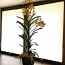 Kunstlill. Orhidee. 100 cm (foto #3)