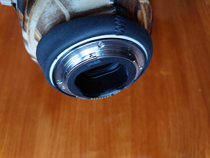 Canon EF 400mm f/2.8L IS USM (5 foto / 8)