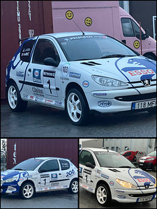 Peugeot 206 WRC Look (8 foto / 13)