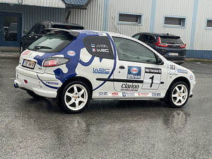 Peugeot 206 WRC Look (4 foto / 13)