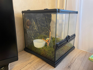 Terrarium/ Terrarium