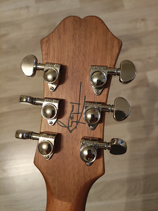 Гитара blink 182 Tom Delonge Epiphone ES-333 (3 фото из 10)