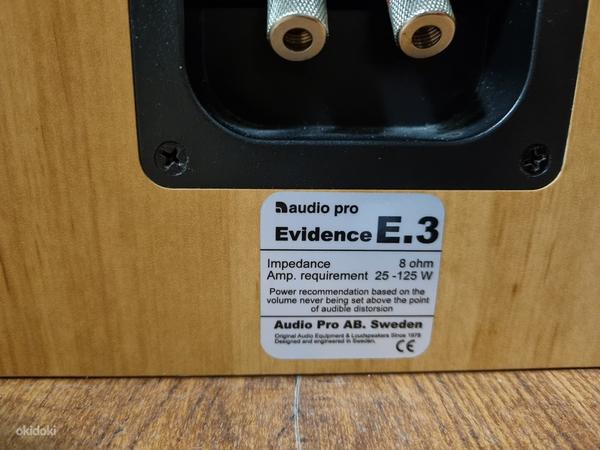 Аудио Pro Evidence E.3 (фото #4)