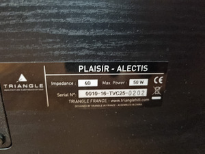Triangle Plaisir Alectis keskkõlar. (5 foto / 5)
