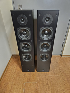 DALI 606 HiFi напольные колонки (2 фото из 4)
