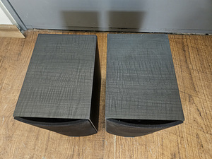 Audio Pro Evo 10 HiFi riiulikõlarid (6 foto / 8)