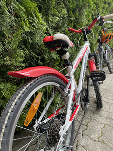 Bottecchia Boss 20 (2 foto / 3)