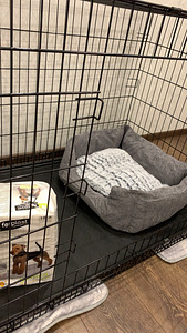 Клетка для собаки (2 фото из 2)