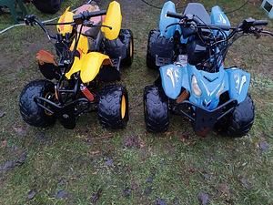 ATV-д 2 шт. 110 см3 (1 фото из 10)