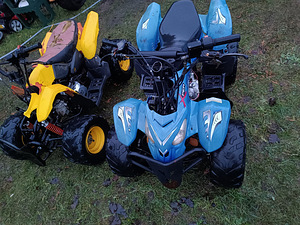 ATV-д 2 шт. 110 см3 (3 фото из 10)