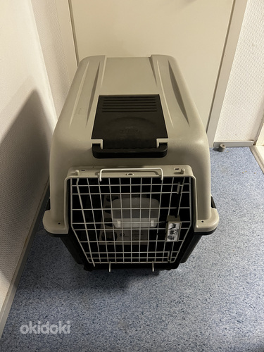 Transpordipuur