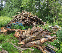 Küttepuu