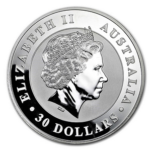 1 KG Kookaburra 2018 (2 фото из 2)