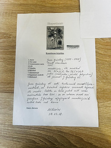Maal Jaan Grünberg (1889–1969) (3 foto / 3)