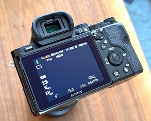 Sony A7 + Sony FE 28-70mm F3.5-5.6 OSS (3 foto / 7)
