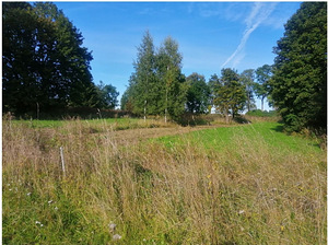 Elamumaa Mustvee vald (2 foto / 3)