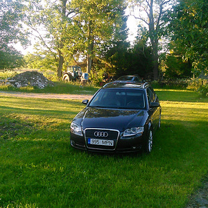 Audi a4 2.0 tdi 103 kw 2007г (1 фото из 14)