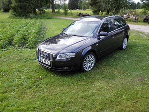 Audi a4 2.0 tdi 103 kw 2007г (4 фото из 14)