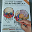 Anatoomia. Atlase värvimisraamat. (foto #1)