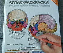 Anatoomia. Atlase värvimisraamat.